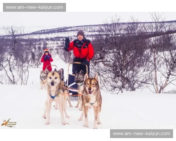 冰与火的欧罗巴赞歌：当高加索雄狮遇见北欧海盗，卡拉巴赫与莫尔德的宿命对决
